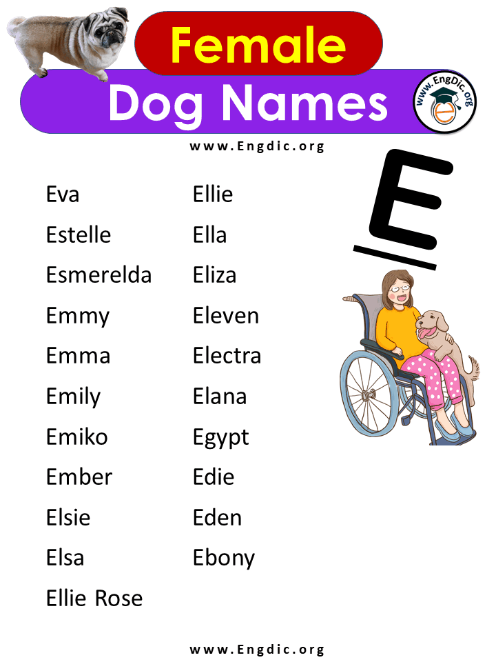 Female Dog Names With e