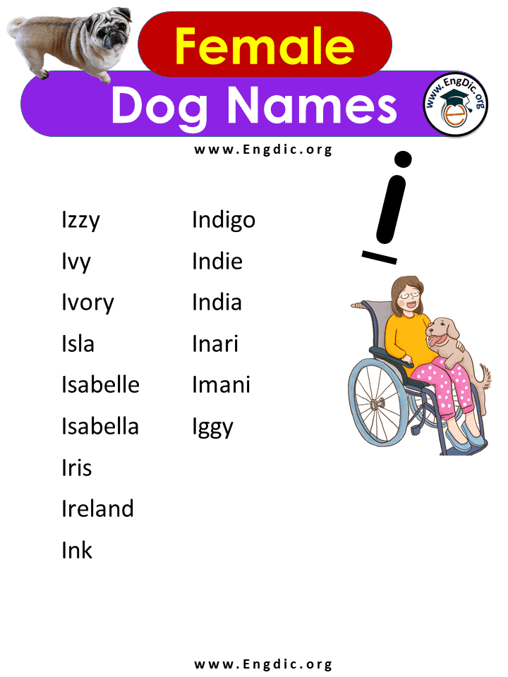 Female Dog Names With i