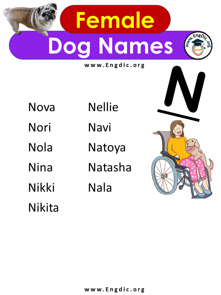 Female Dog Names With n