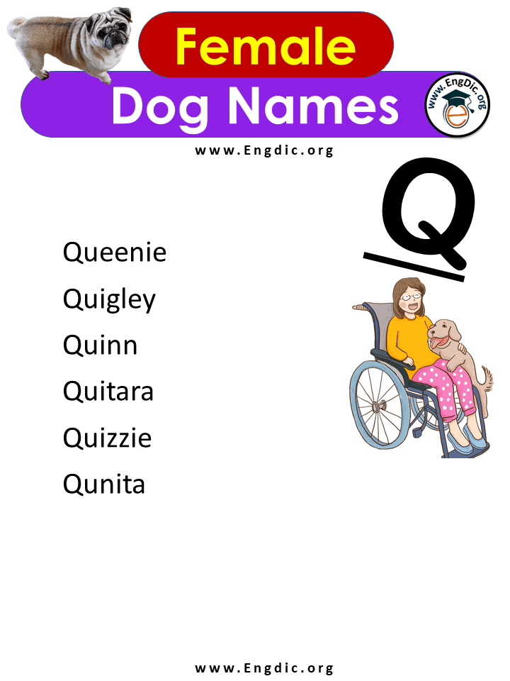 Female Dog Names With q