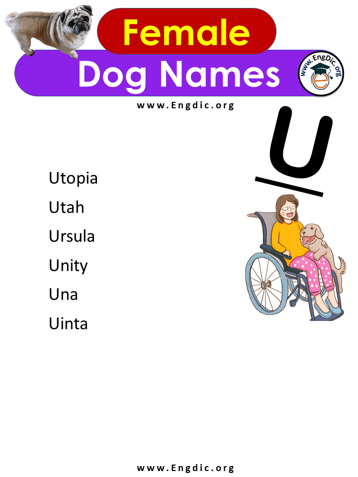Female Dog Names With u