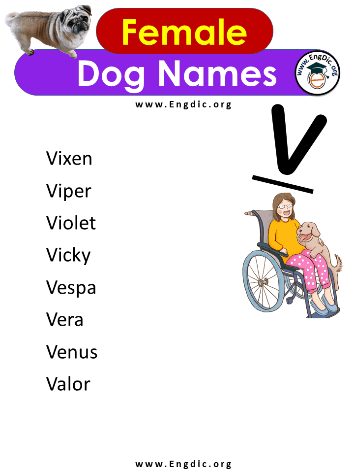 Female Dog Names With v