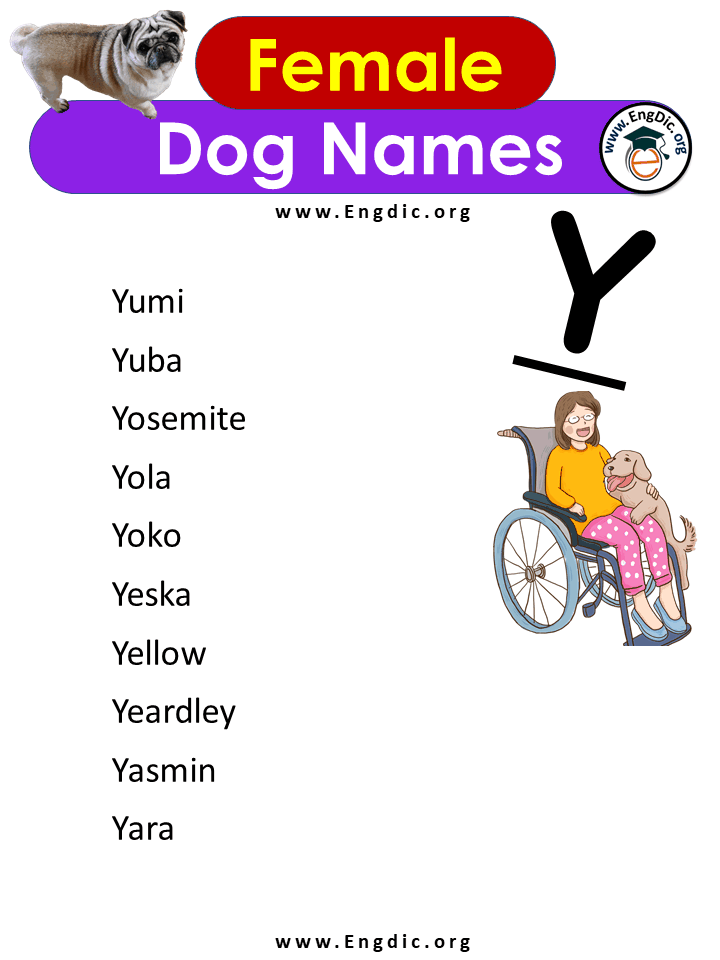 Female Dog Names With y