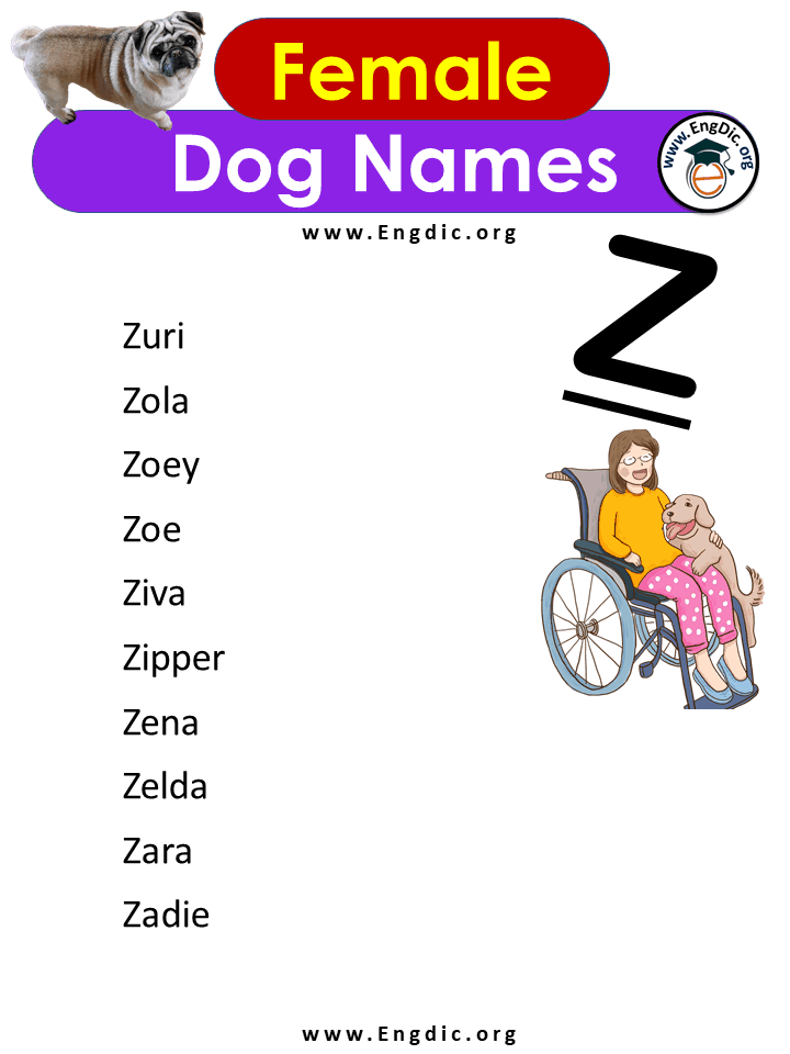 Female Dog Names With z