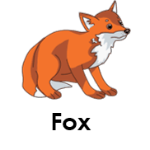 Fox wild animals names