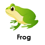 Frog wild animals names