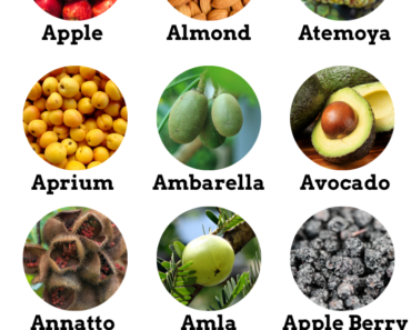 50+ Fruits That Start with A (Properties and Pictures)