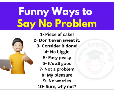 30+ Funny Ways to Say No Problem