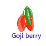 Goji berry fruits names with pictures