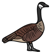 Goose