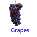 Grapes fruits names with pictures