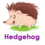 Hedgehog wild animals names