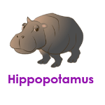 Hippopotamus wild animals names