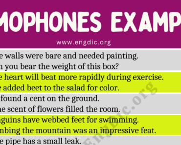 100 Examples of Homophones in Sentences English