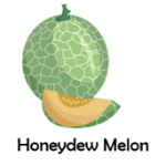 Honeydew Melon Green Fruit Names