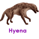 Hyena wild animals names