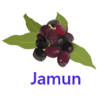 Jamun fruits names with pictures