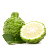 Kaffir Lime