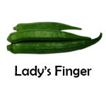 Ladys Finger