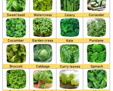 All 50 Leafy Vegetables Name (Green and Dark Greens)