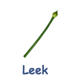Leek 20 flowers names
