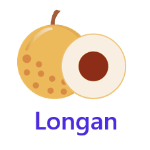 Longan fruits names with pictures