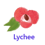 Lychee fruits names with pictures