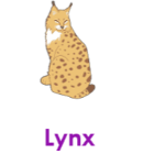 Lynx wild animals names