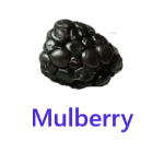 Mulberry fruits names with pictures