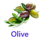 Olive fruits names with pictures