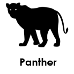 Panther wild animals names