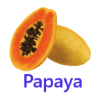 Papaya fruits names with pictures