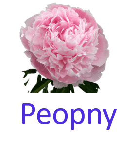 Peopny 10 Pretty Flower names with Pictures