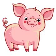 Pig