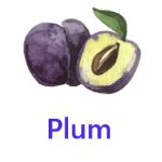 Plum fruits names with pictures