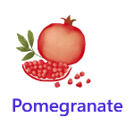 Pomegranate fruits names with pictures