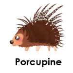 Porcupine wild animals names