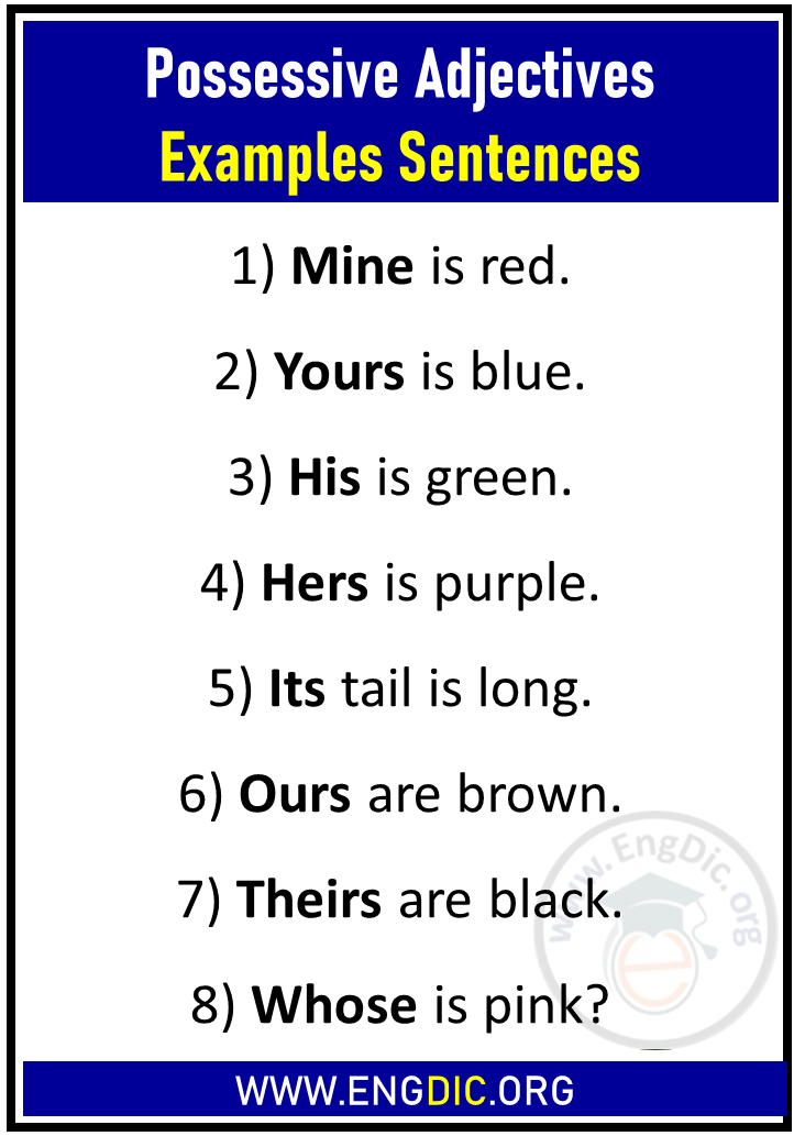 Possessive Adjectives examples
