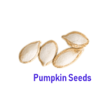 Pumpkin Seeds 15 Dry Fruit Names with Pictures