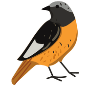 Redstarts