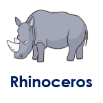 Rhinoceros 5 Wild Animal Names