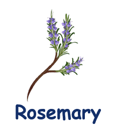 Rosemary 20 flowers names