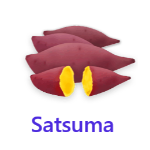 Satsuma fruits names with pictures