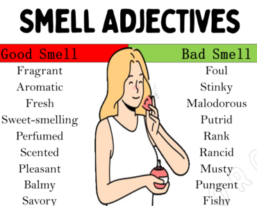 Adjective of Smell, Good and Bad Smell Adjectives