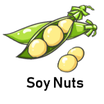 Soy Nuts 15 Dry Fruit Names with Pictures
