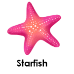 Starfish wild animals names
