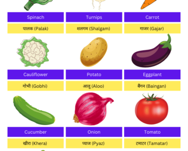 10 Vegetables Name in Hindi With Pictures