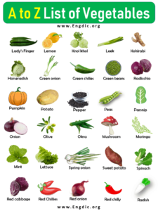 100 Vegetables Name A to Z (Pictures, Facts, & Types) - EngDic