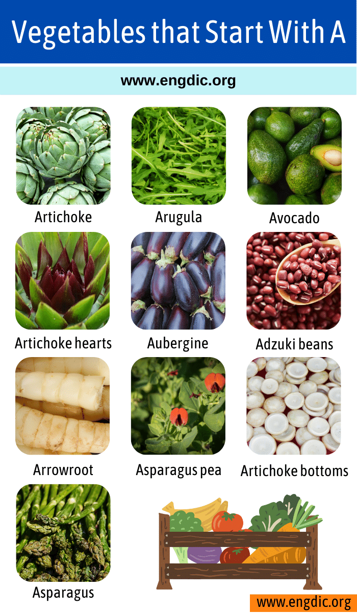 List Of Vegetables That Start With A - EngDic