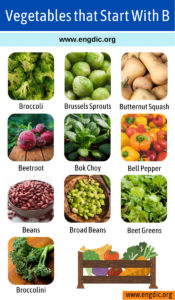 List Of Vegetables That Start With B - EngDic